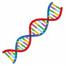 基礎から学ぶ生物の効率的な勉強法（高校生編）